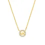 Michael Kors Premium Necklace Halskjede Gullforgylt sølv MKC1726CZ710